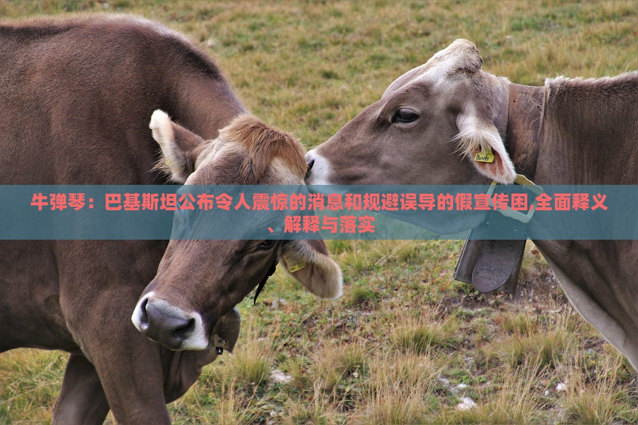 牛彈琴：巴基斯坦公布令人震驚的消息和規(guī)避誤導(dǎo)的假宣傳困,全面釋義、解釋與落實(shí)