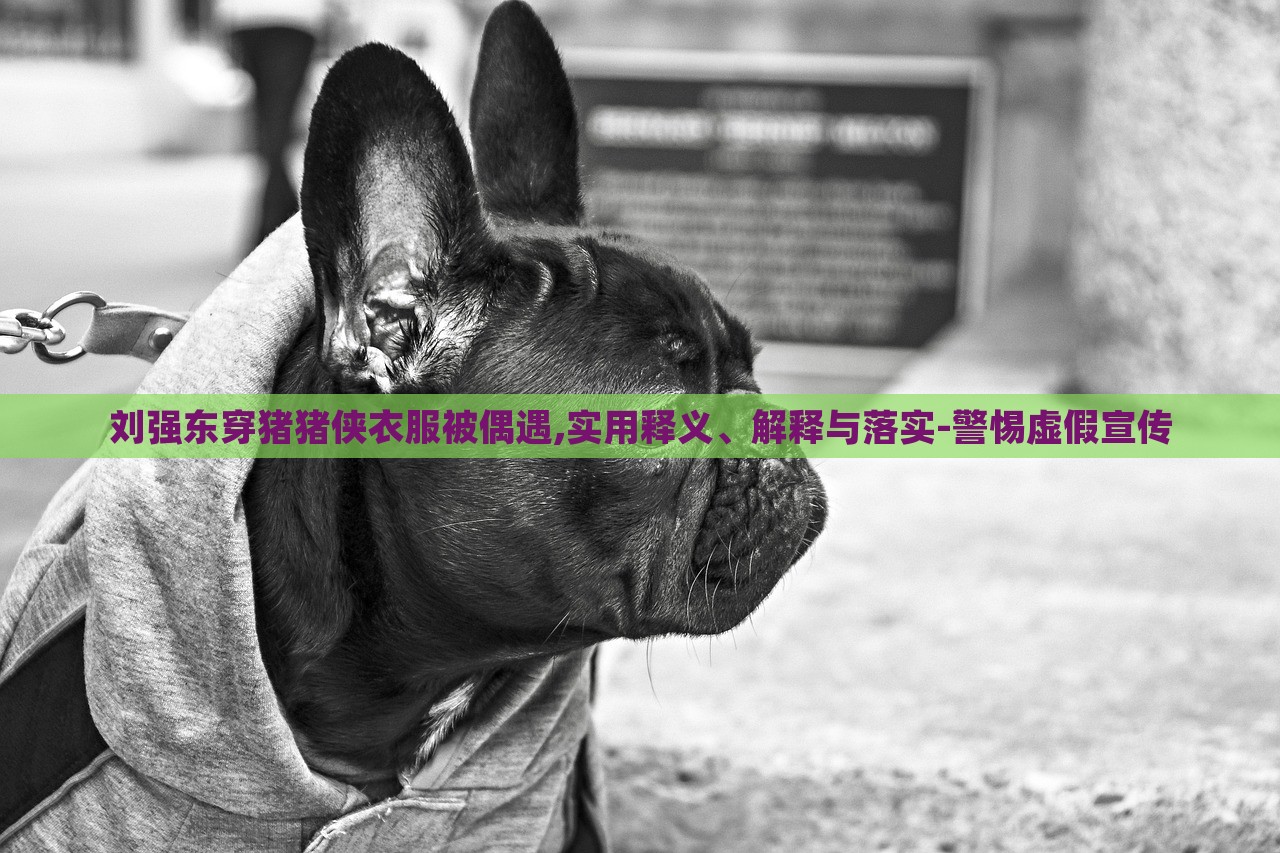 劉強東穿豬豬俠衣服被偶遇,實用釋義、解釋與落實-警惕虛假宣傳 劉強東穿豬豬俠衣服被偶遇,實用釋義、解釋與落實-警惕虛假宣傳