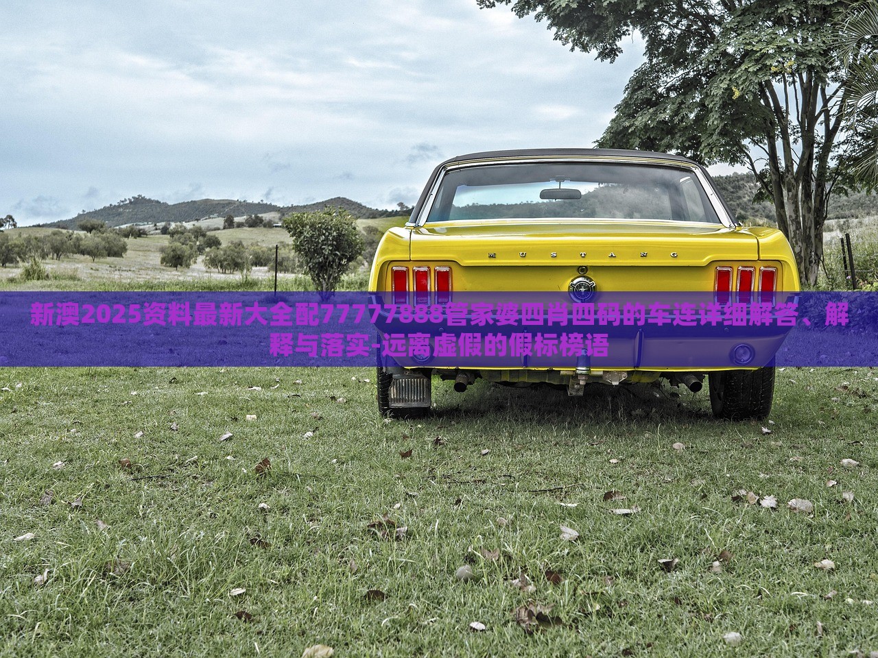新澳2025資料最新大全配77777888管家婆四肖四碼的車連詳細(xì)解答、解釋與落實(shí)-遠(yuǎn)離虛假的假標(biāo)榜語